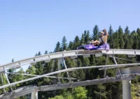 Homme sur luge alpine sur rail en forêt