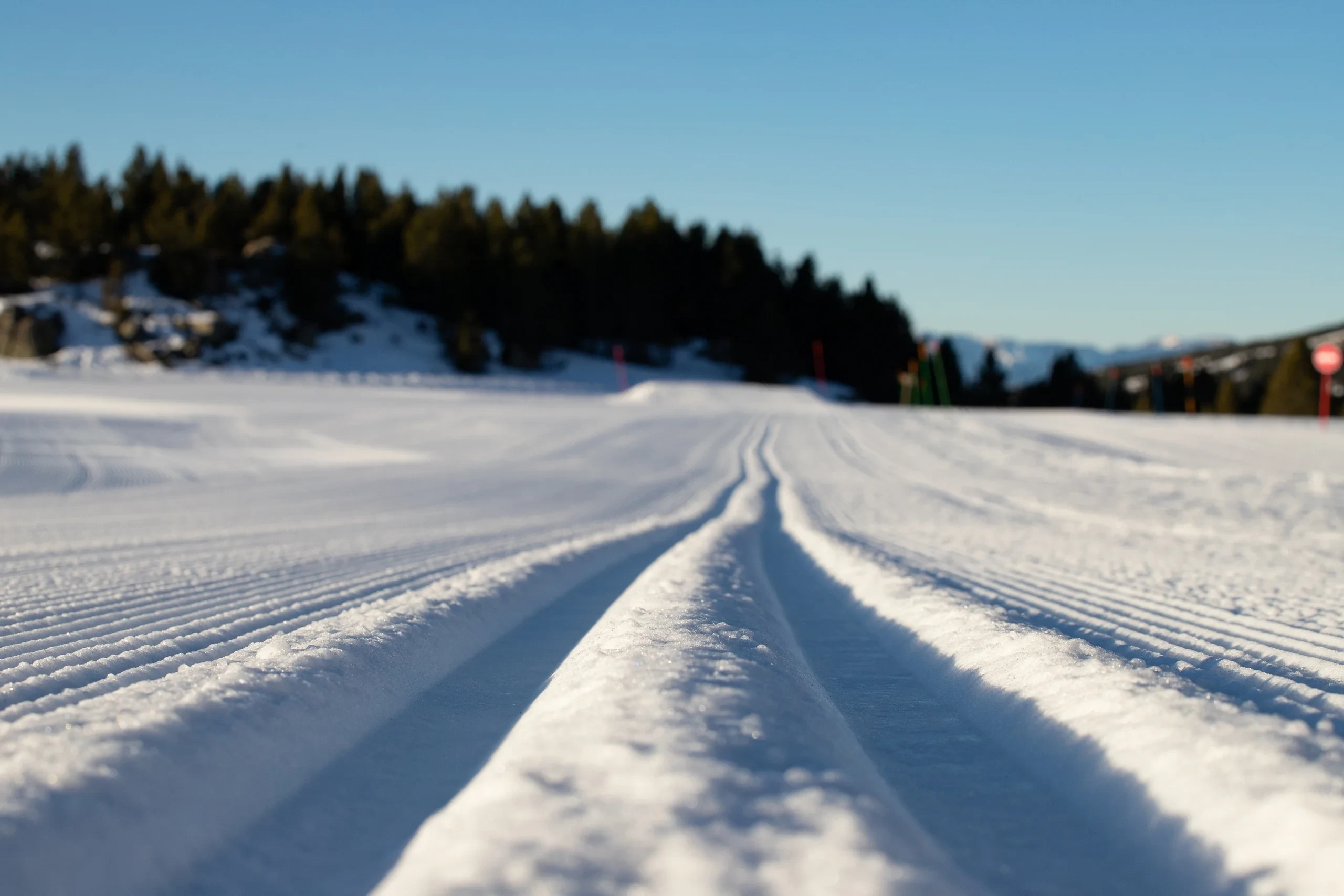 Piste de ski nordique damée en montagne