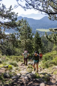 Randonneurs gravissant un sentier en montagne boisée