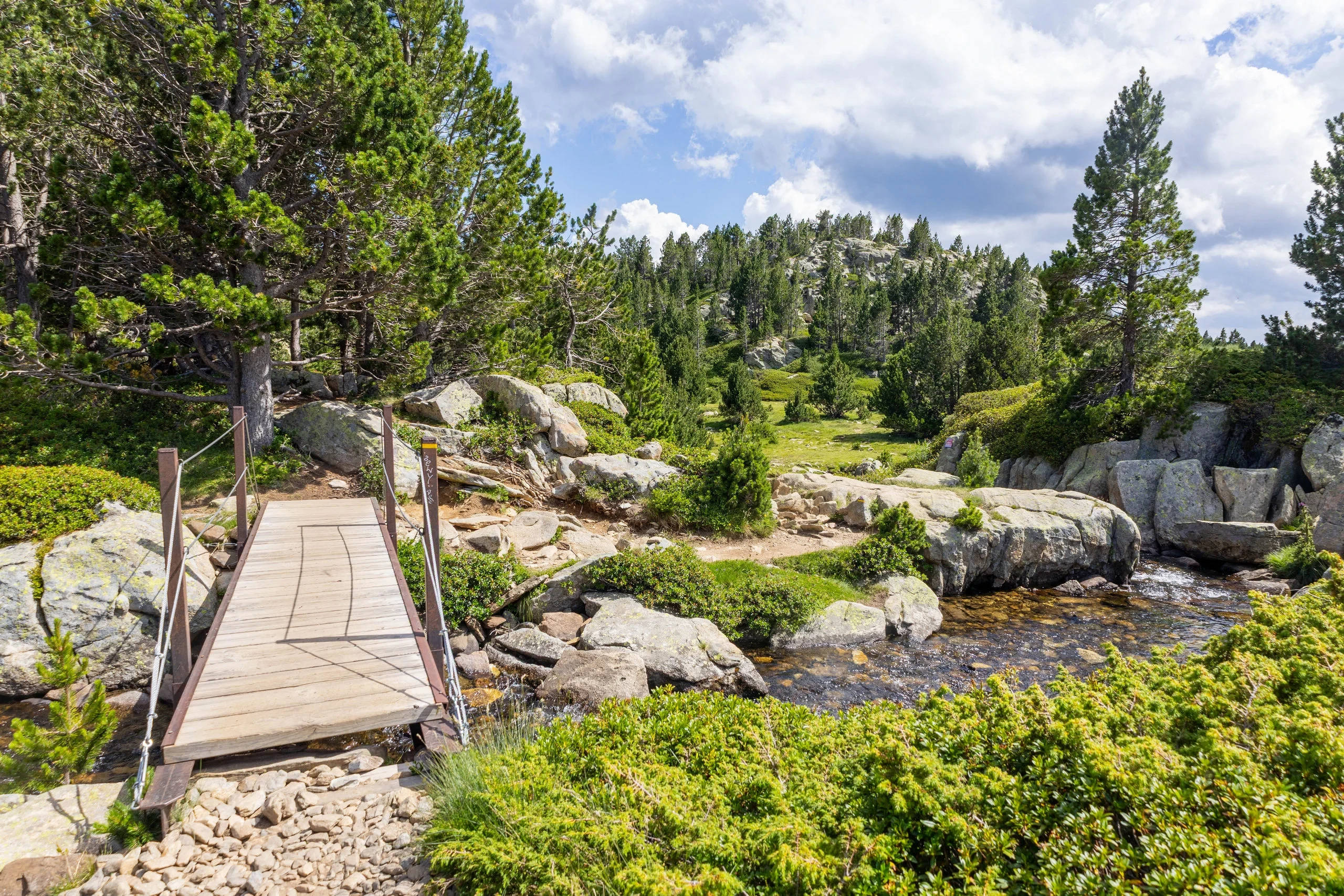 Petit pont en bois sur ruisseau forestier