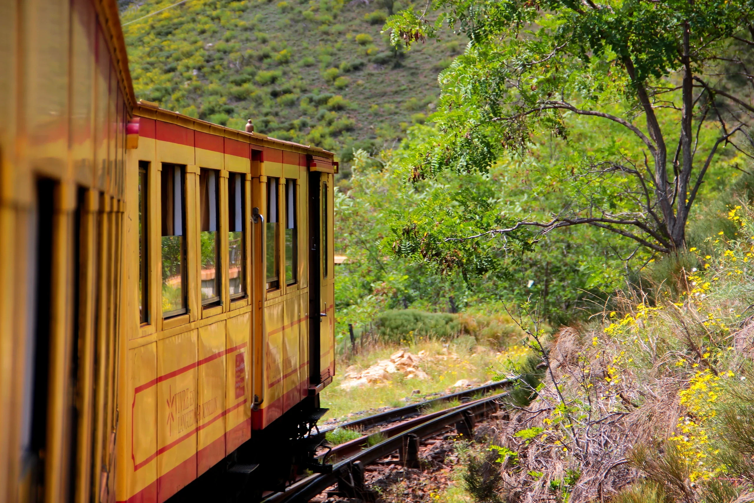 Train jaune traversant une forêt verdoyante